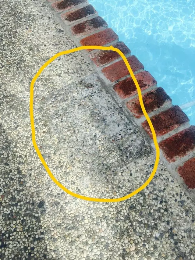 Blue Splash Pool Service, Repair & Leak Detection